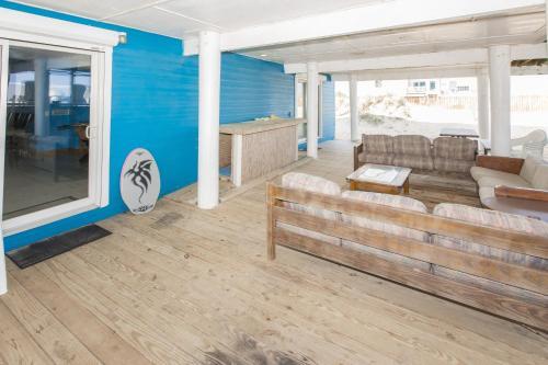 Blue Dolphin