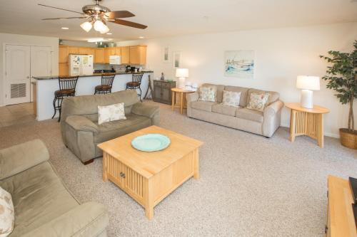 Seaside - Sand Dollar C-103