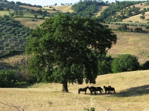 Agroturismo Le Murelle Country Resort
