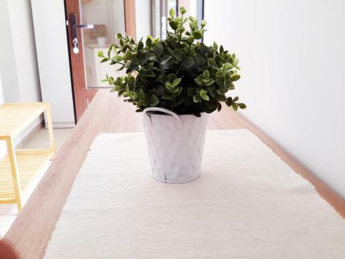 Albert Home