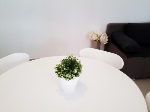 Albert Home