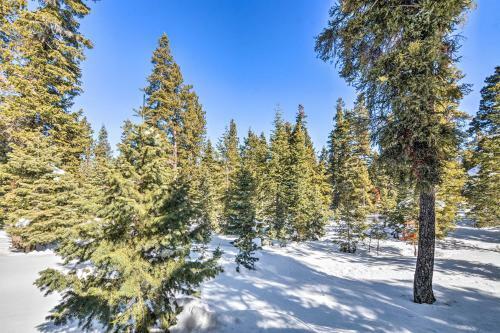 Unique Forest Cabin With Deck Ski, Hike, Fish!