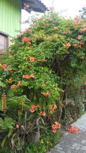 Casa R�stica - Hospedaria