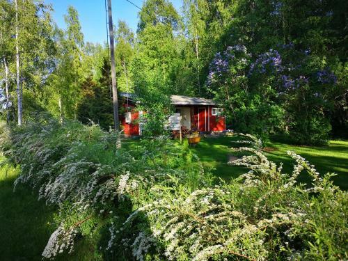 Koivuniemi Cottage