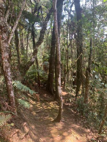 Chal� Arauc�ria Campos Do Jordao