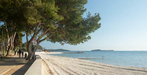 Apartman Dobric Fa?ana