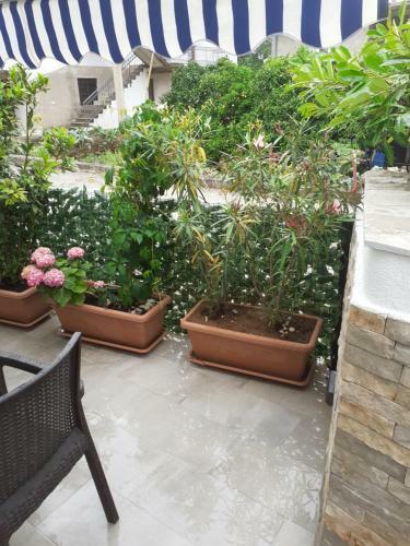 Hostal Apartmani Mileti?