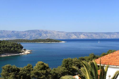 Apartments With A Parking Space Jelsa, Hvar - 8698