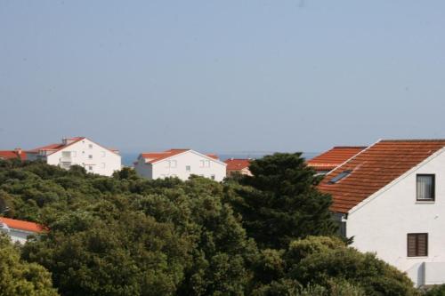 Apartments With A Parking Space Mandre, Pag - 6473