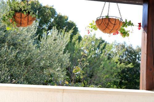 Apartment Vincent With Beautiful Sea View Terrace