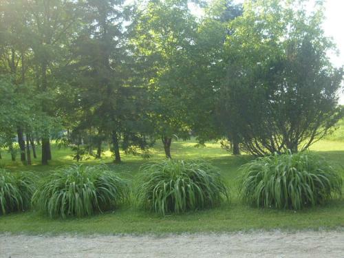Holiday Home Bojko