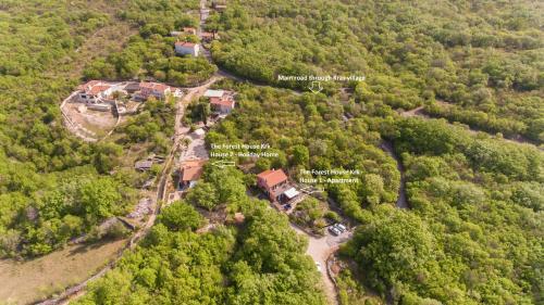 The Forest House Krk 2