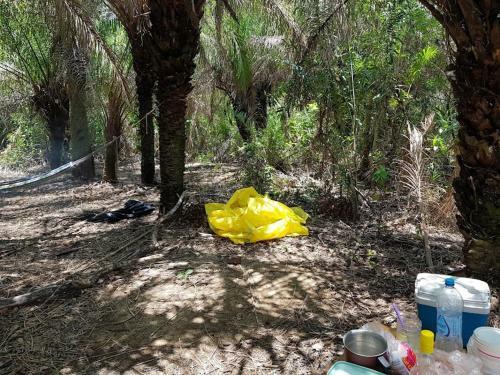 Spot Jaguar Pantanal Sul- Camping - Tour
