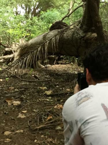 Spot Jaguar Pantanal Sul- Camping - Tour
