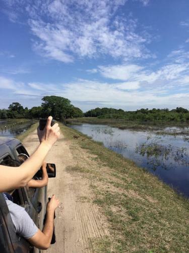 Spot Jaguar Pantanal Sul- Camping - Tour