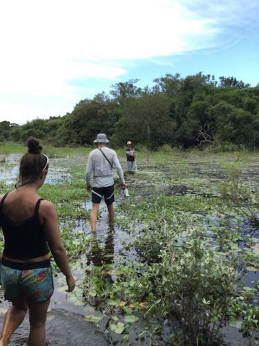 Spot Jaguar Pantanal Sul- Camping - Tour