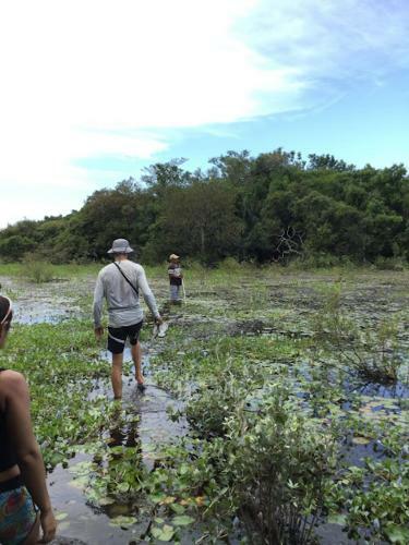 Spot Jaguar Pantanal Sul- Camping - Tour