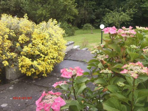 Sunnyside-cottage