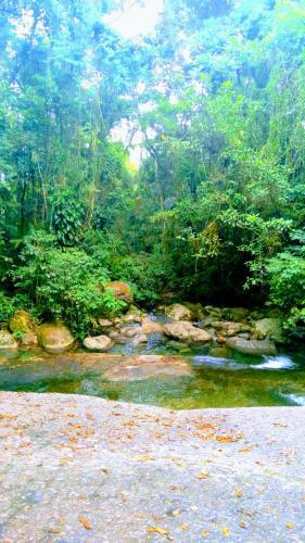 A Bela Casa Da Floresta!