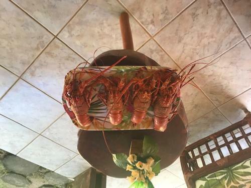 Japara�so II Pr�ximo Ao Mar