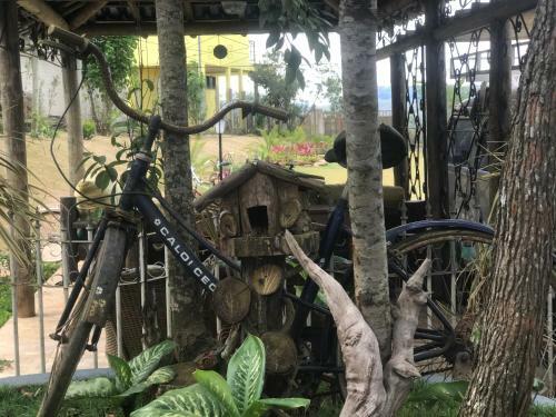 Lodge Macondo Chal�s