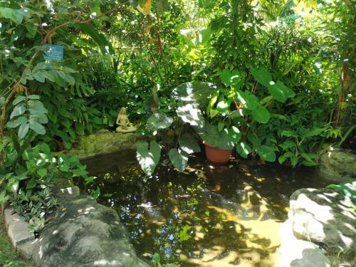 Quintal Do Cont�iner - Su�te Mar E Su�te Terra