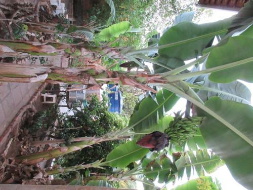Hostal Universo Em Desencanto