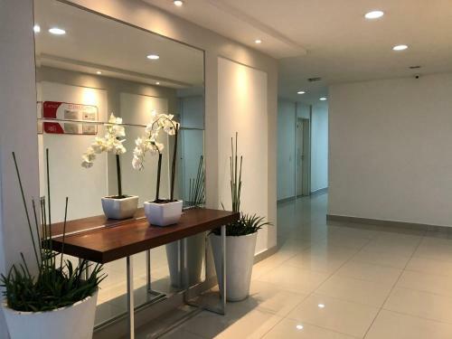 Apartamento Rover 58 Manaus - Pr�ximo Do Aeroporto