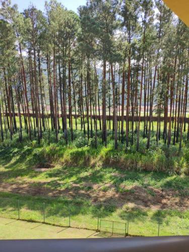 Apartamento Ref�gio Na Natureza- Reserva Do Sahy