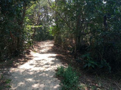 Sahy - Aldeia Dos Reis, Condado - Apartamento Quarto E Sala