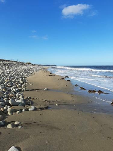 Ross Beach Family Farmhouse B&B