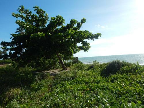 Casa De Praia Com Piscina, Peroba - Maragogi
