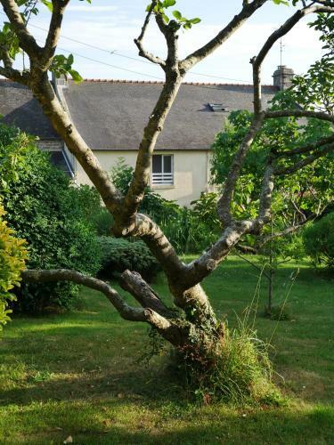 Bed & Breakfast Chambre D'h�tes Douarnenez - Kerioret Izella