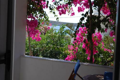 Apartamento Kelly's