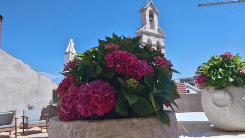 Apartamentos Old Town Hvar
