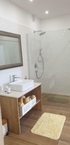 Apartments Antonia