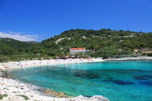 Apartments By The Sea Hvar - 10430