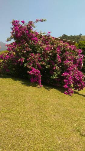 Cabana Vista Maravilhosa