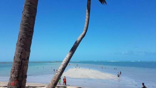Apartamento Macei� Facilities Temporada Na Ponta Verde