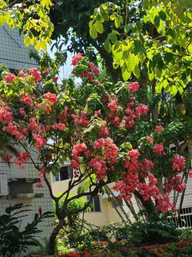Apartamento Parque Jati�ca