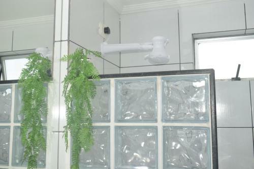 Apartamento Apto Marceio