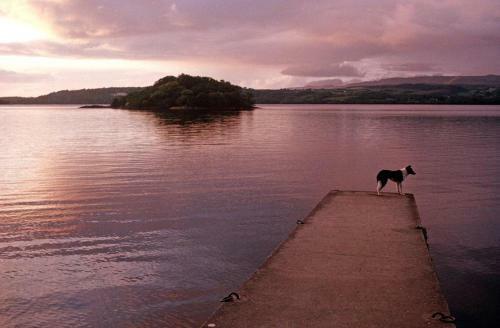 Manor Holiday Home-sleeps 8