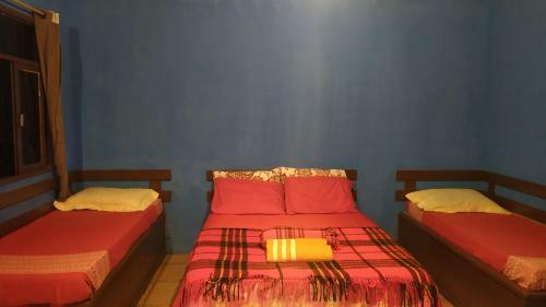 Hostal Terrazzo Italia