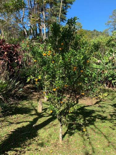 S�tio Bosque Magico