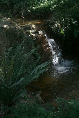 Chal� No Bosque E Cachoeirinha, Centro De Passa Quatro