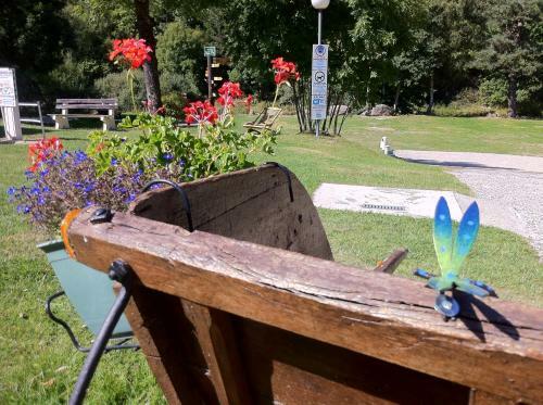 Camping Du Pont De Braye