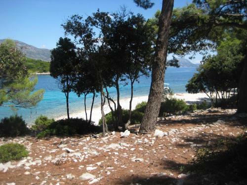 Marco Polo Holiday Home