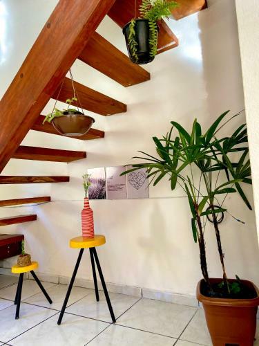 Alugo Casa Para Temporada Arraial Da Ajuda
