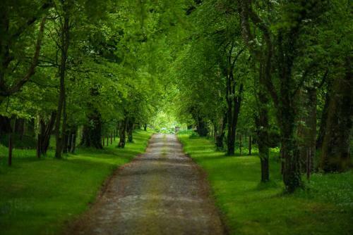 Agroturismo Mount Briscoe Country House