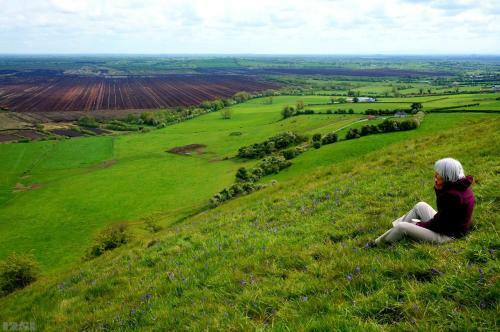 Agroturismo Mount Briscoe Country House